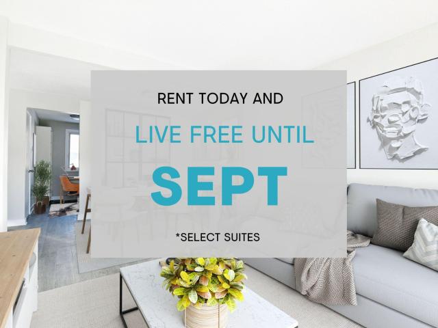 Jameson Avenue Studio Suites [object Promise] for Rent