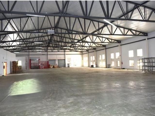 NAVE COMERCIAL EN BULLAS