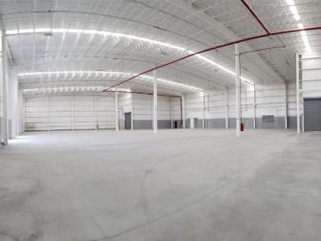 Nave en renta en Server Industrial Park, Arteaga, Coahuila de Zaragoza