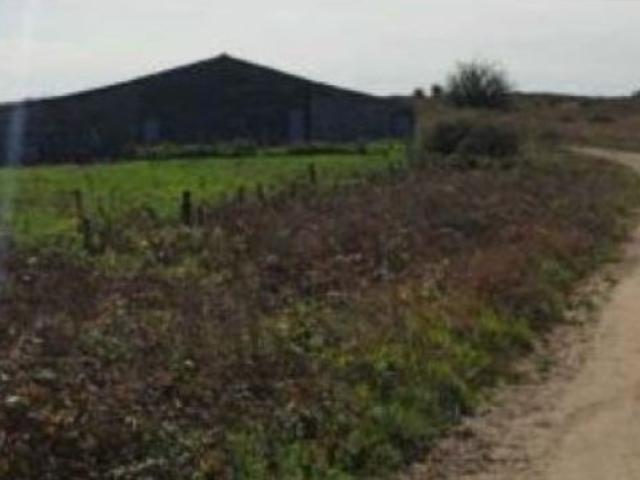 Nave en Venta en Alfoz de Santa Gadea, Burgos
