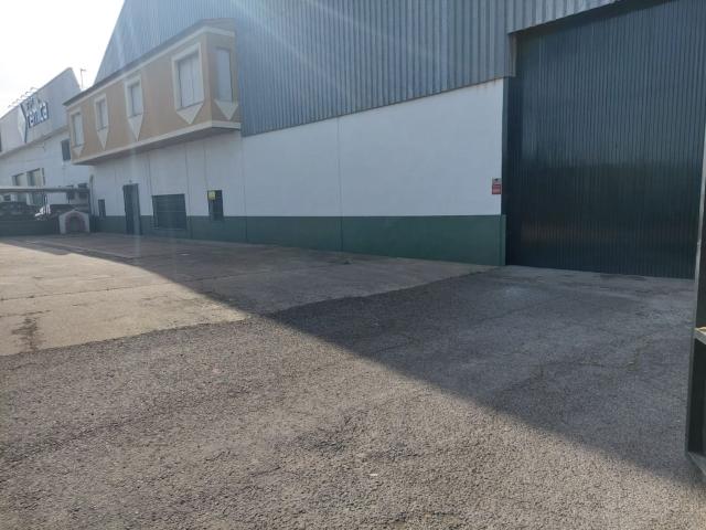 Nave Industrial Alquiler Ciudad Real