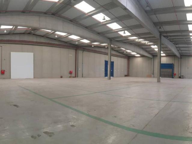 Nave industrial en Alquiler en Can Roqueta