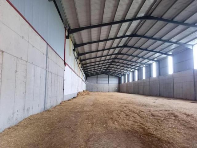 Nave industrial en alquiler en Amusco