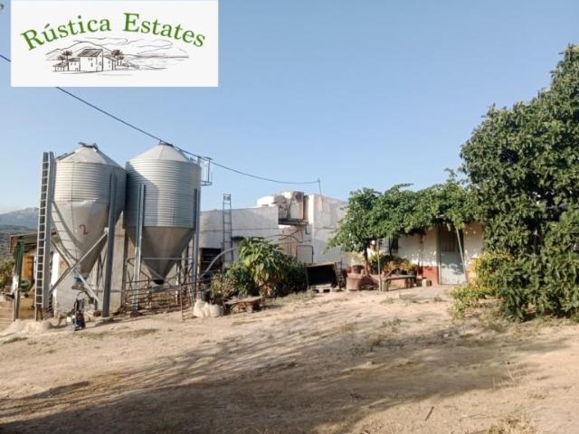 Nave industrial en alquiler en Burgo