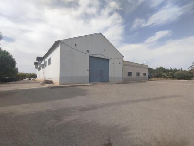 Nave industrial en alquiler en Elche, Elche Parque Empresarial