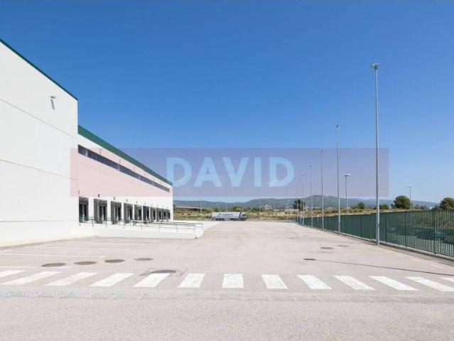 Nave industrial en Alquiler en La Bisbal del Penedès