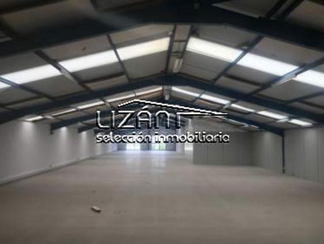 Nave industrial en alquiler en Llanera, Llanera