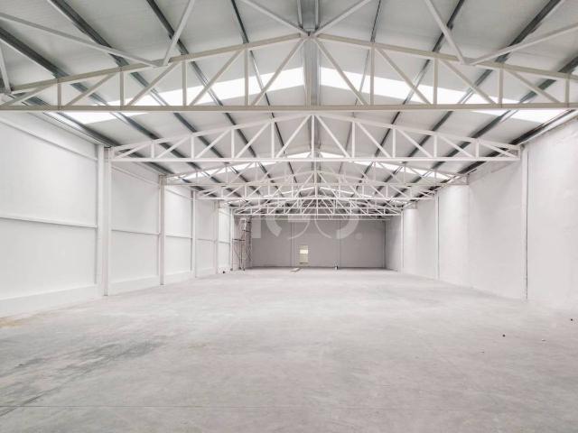 Nave industrial en Alquiler en Nord