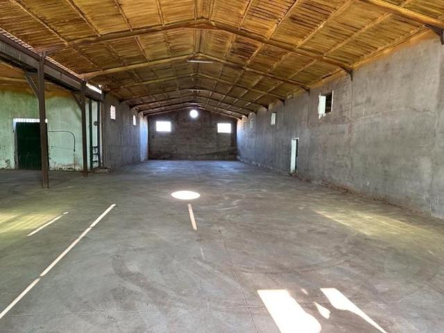 Nave industrial en alquiler en Sanlúcar de Barrameda, La Dehesilla