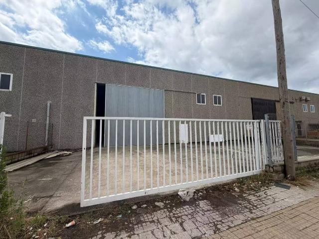 Nave industrial en Alquiler en Sant Feliu de Buixalleu