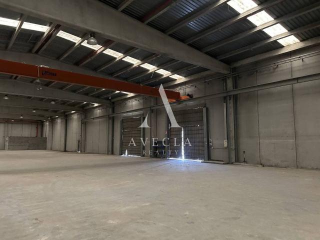 Nave industrial en Alquiler en Sant Feliu de Buixalleu