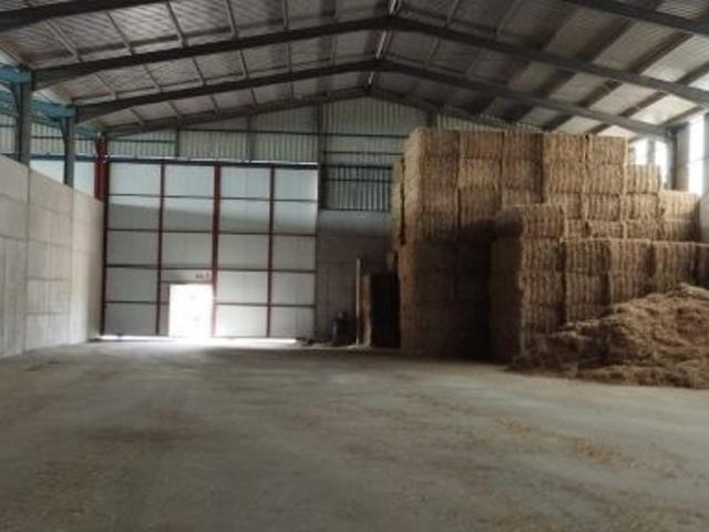 Nave industrial en Alquiler en Villalón de Campos, Valladolid