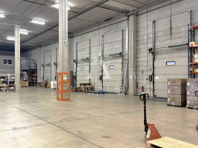Nave industrial en Alquiler en Zona Industrial