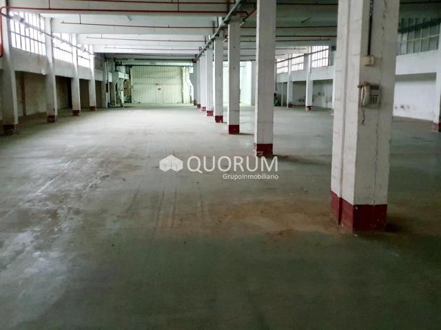Nave industrial en Sondika