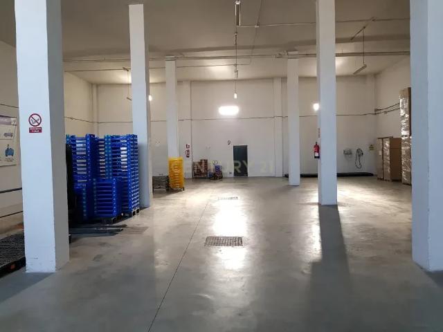 NAVE INDUSTRIAL EN SALOBREÑA