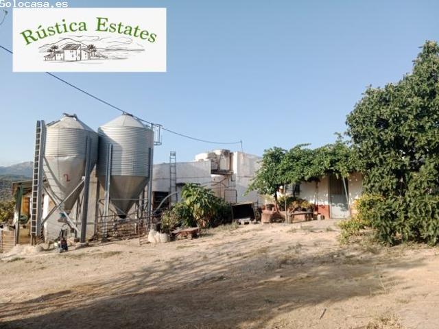 Nave industrial en Traspaso en Burgo, El Málaga