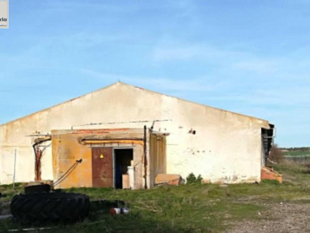 Nave Industrial en venta con 4052 m2, en Tolocirio, Tolocirio