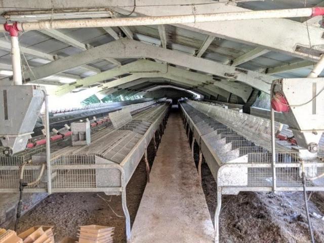 Nave industrial en venta en Abáigar, Murieta