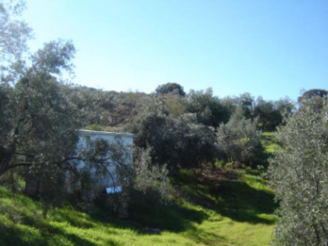 Nave industrial en venta en Archidona, Rustica