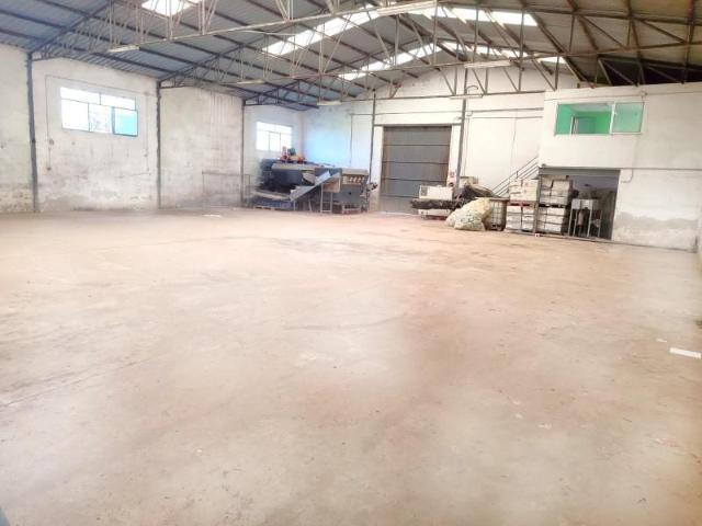 Nave industrial en venta en Dolores, CENTRO