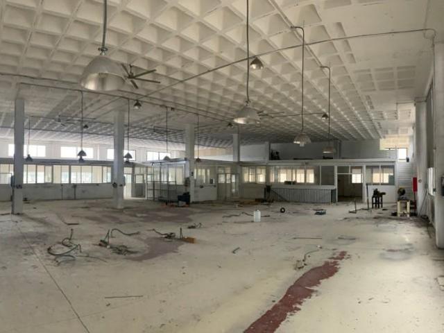 Nave industrial en venta en Elche, Elche Parque Empresarial