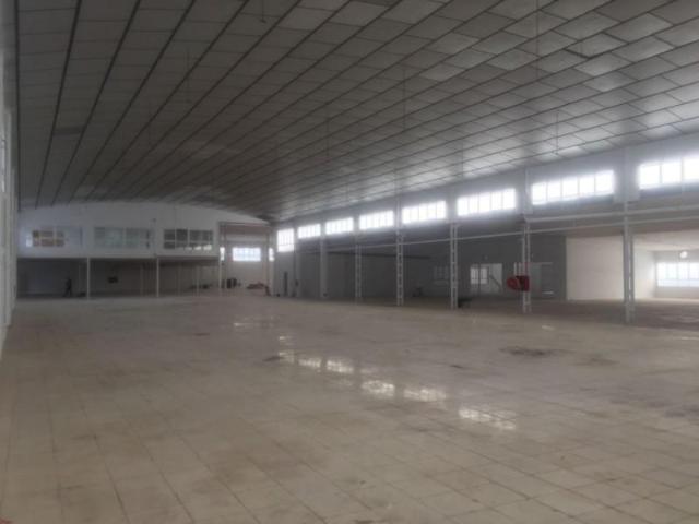 Nave industrial en venta en Elche, Sector Quinto