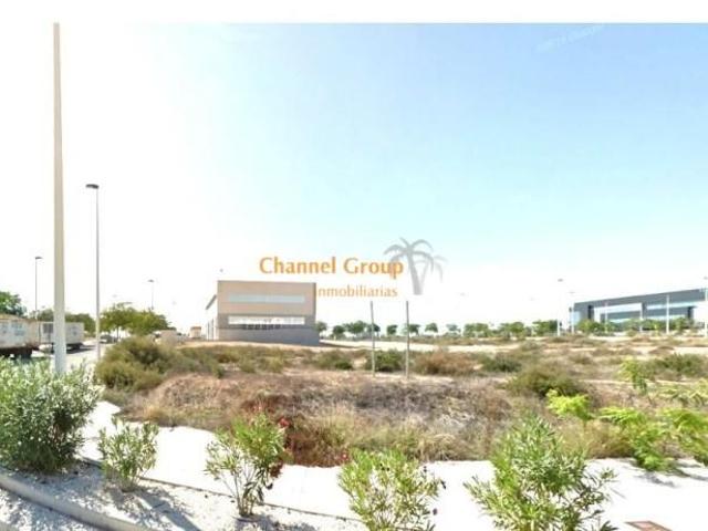 Nave industrial en venta en Elche, Poligono torrellano