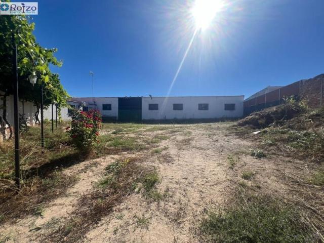 Nave industrial en venta en Escalonilla, Escalonilla