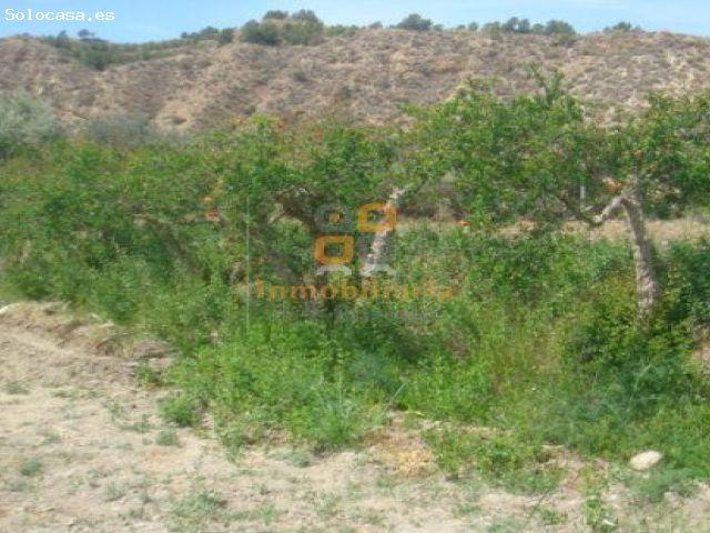 Nave industrial en Venta en Huercal Overa, Almería