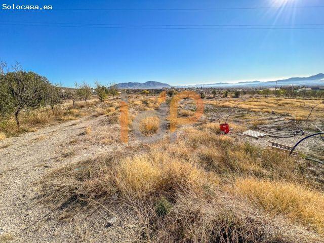 Nave industrial en Venta en Huercal Overa, Almería