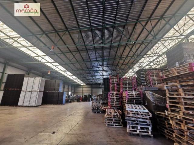 Nave industrial en venta en Orihuela, Zona Centro