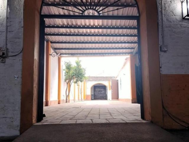 Nave industrial en venta en La Palma del Condado, Centro