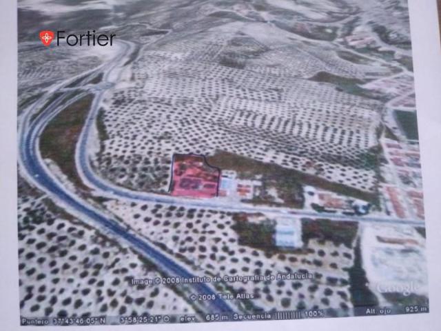 Nave industrial en venta en Martos, Martos