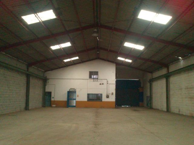Nave industrial en venta en Sevilla, Polig. Industriales La Chaparrilla