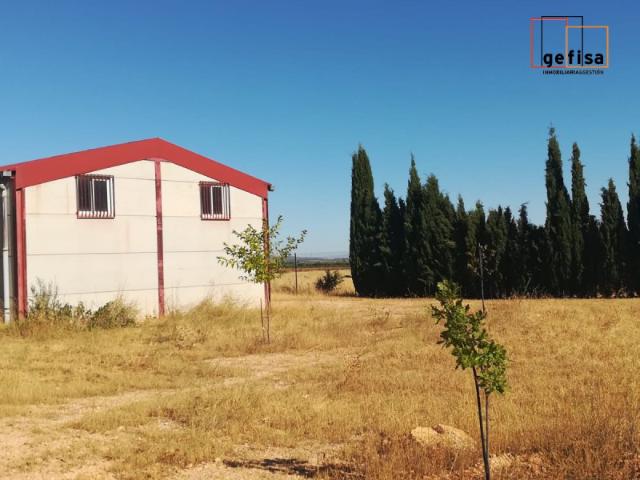 Nave industrial en venta en Valdepeñas, Banos del Peral