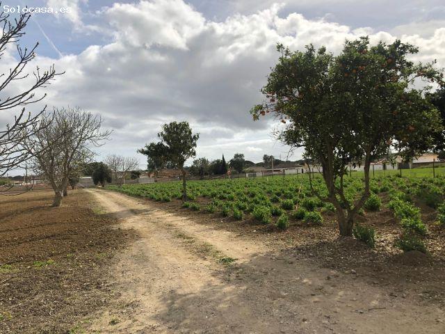 NAVE INDUSTRIAL EN VENTA ZONA PAGO DEL HUMO