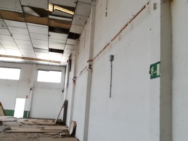 NAVE INDUSTRIAL ELDA