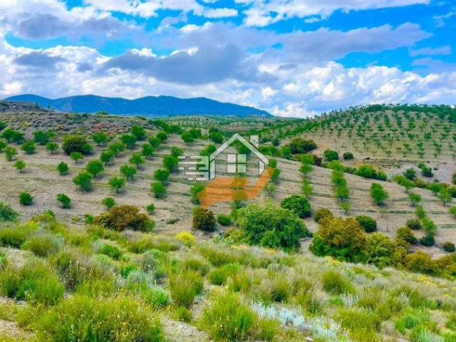 Nave Industrial Venta Almería