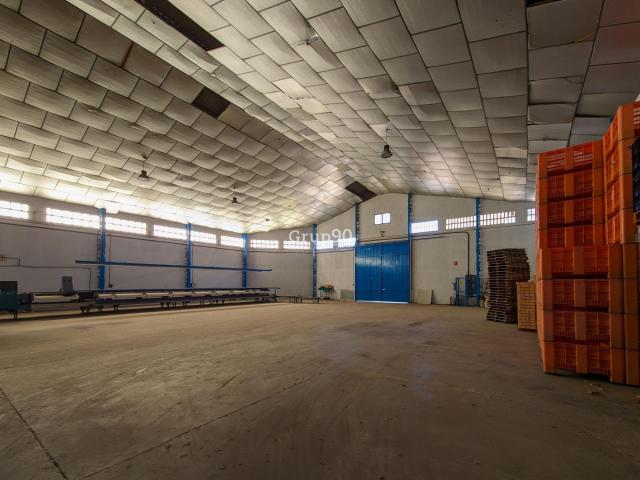 NAVE INDUSTRIAL Y TERRENOS FRUTALES EN AITONA