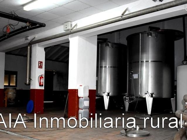 Nave para invertir en Maella Zaragoza