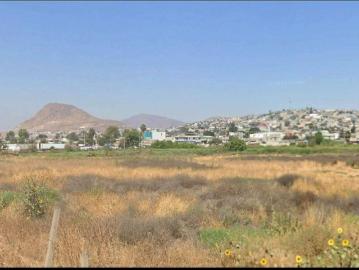 Nave Renta Javier Rojo G?mez Tijuana Baja California 5400m2