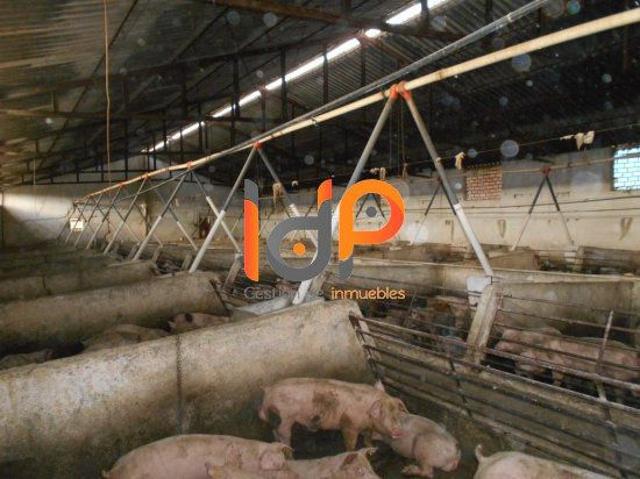 Nave Venta Almería