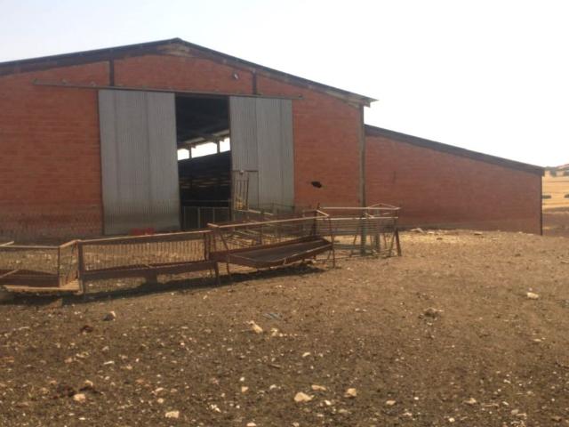 Nave Industrial Venta Ciudad Real