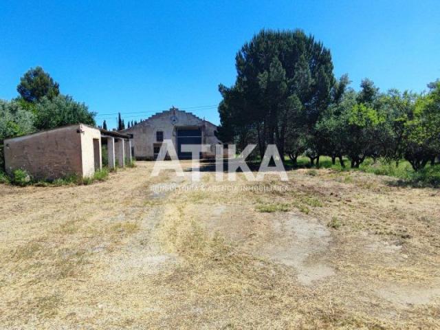 NAVE/ALMACEN CON PARCELA PROPIA