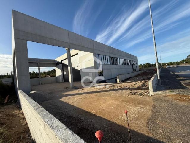 Nazaré Leiria 96034025