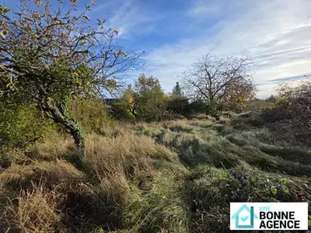 Nazelles Négron 37530 Achat / Vente terrain