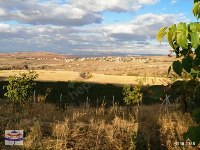NAZEM'DEN POLATLI KUŞCU DA 4947 M2 TEK TAPU BAHÇE
