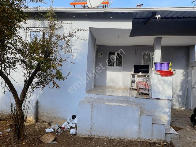 Nazilli Sailer köyü Mah.acil Satılık Müstakil Ev