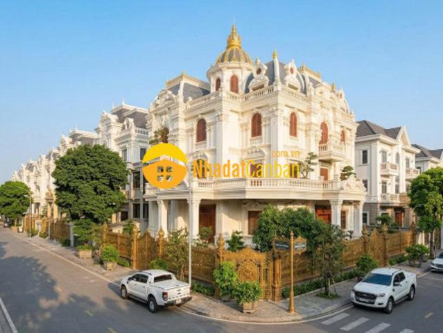 Ngộp bank bán gấp biệt thự lô góc kđt tây mỗ view công viên gần siêu thị aeon 250m2 chỉ 2x tỷ