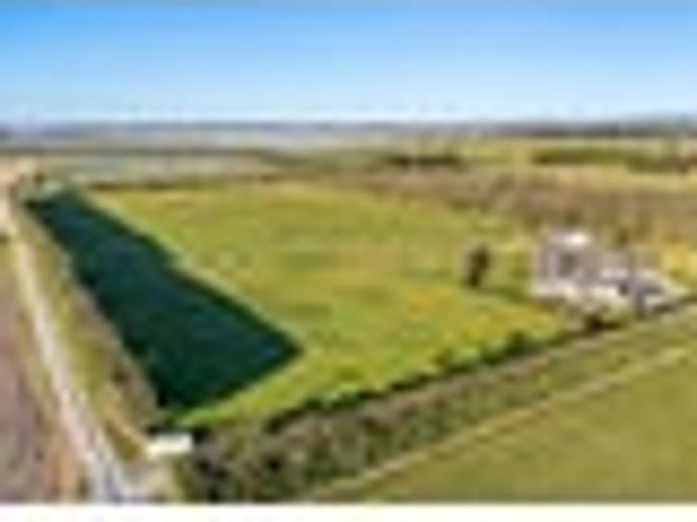Ngatarawa Grove, Hastings